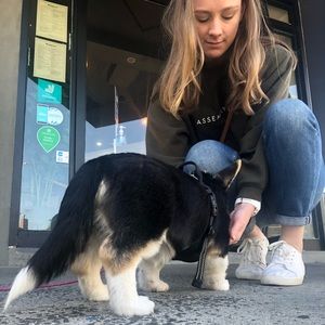 Meet your Posher, Marie